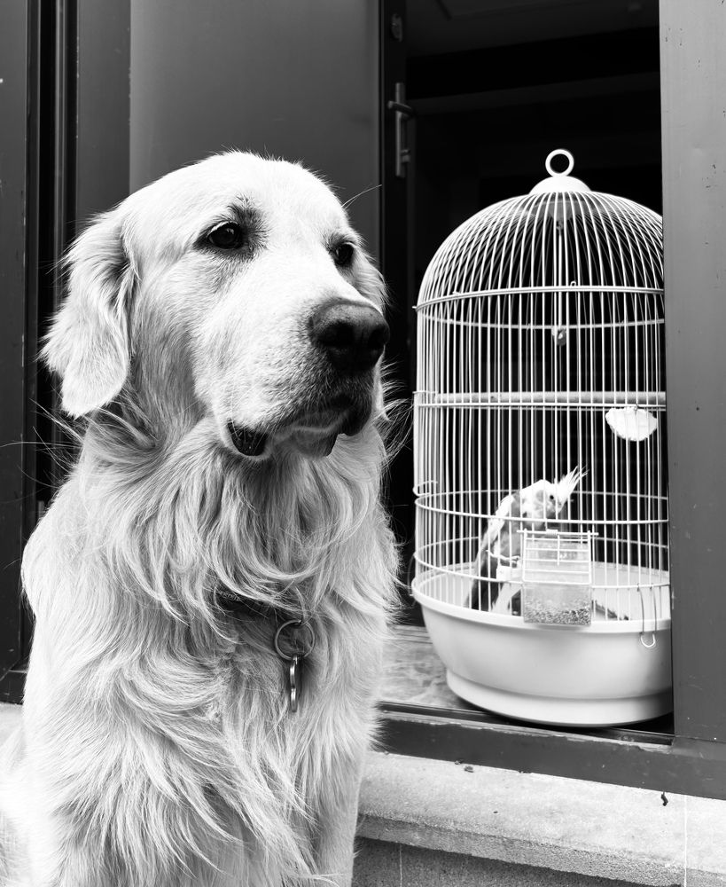 Photograph by Аруза