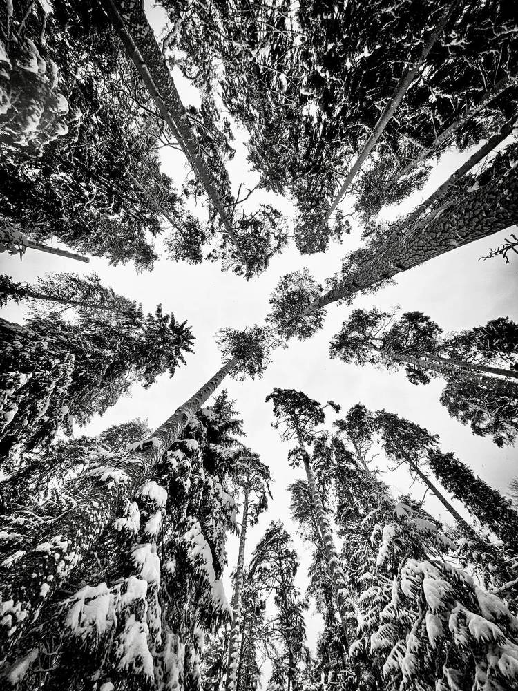 Photograph by Дулова Анастасия