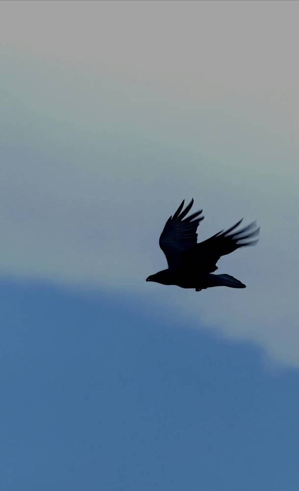 Photograph by Ирина Тихая