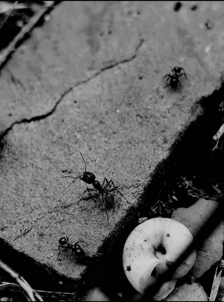 Photograph by Ирина Тихая