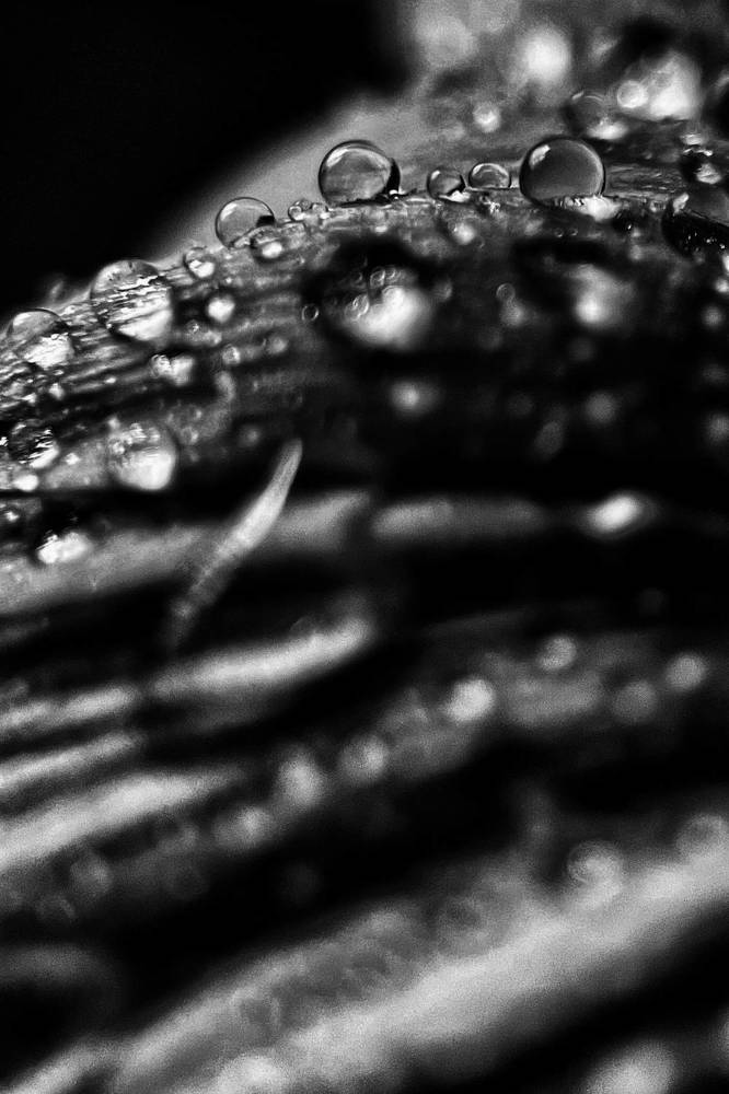 Photograph by Оксана Корепанова