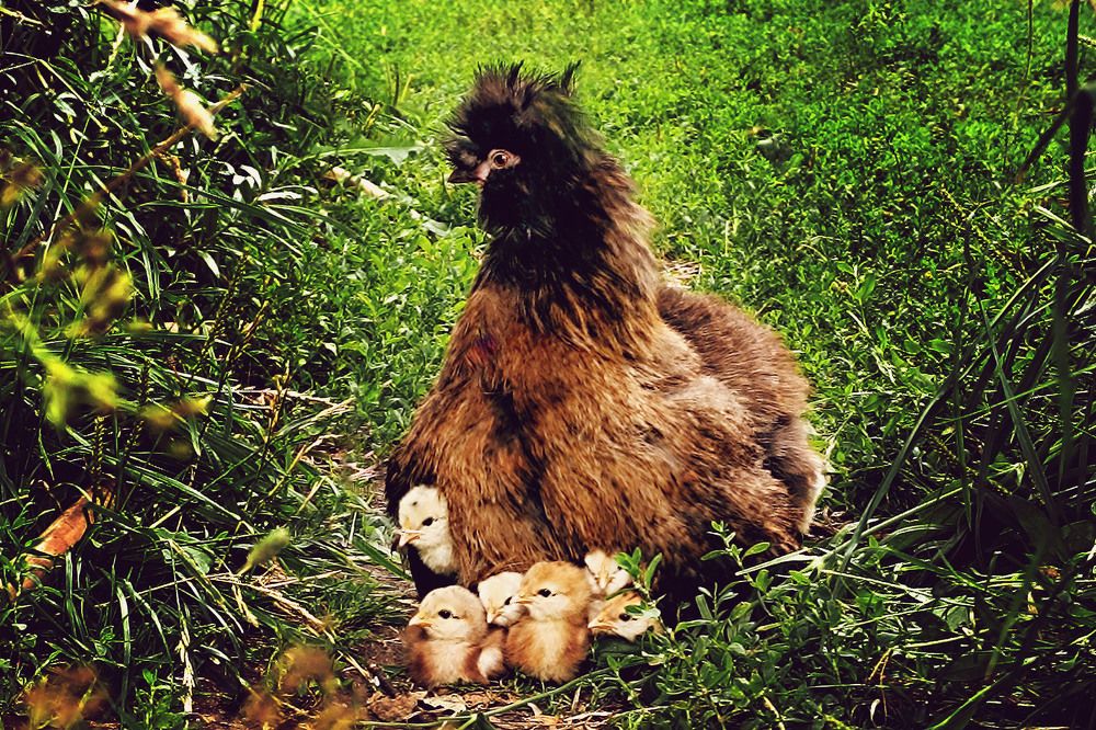 Photograph by Диана Токаревич