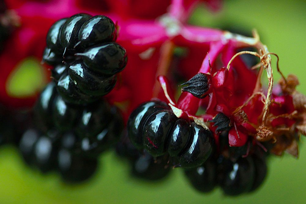 Photograph by Гагик Саркисян