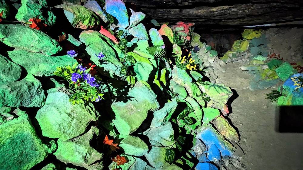 Фотография автора Мария Коледа