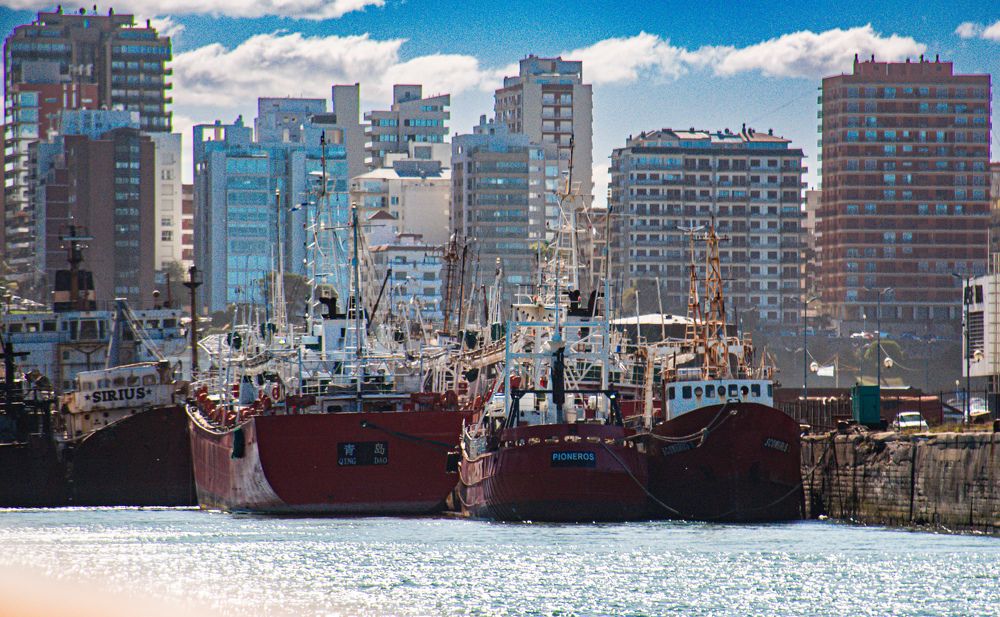 Photograph by Maria Julieta ZURZOLO