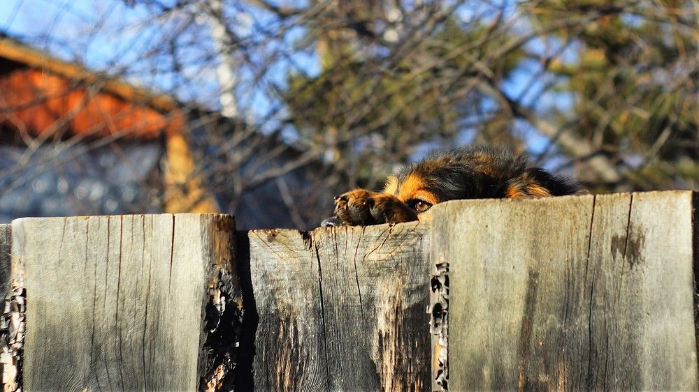 Photograph by Алексей Мякота