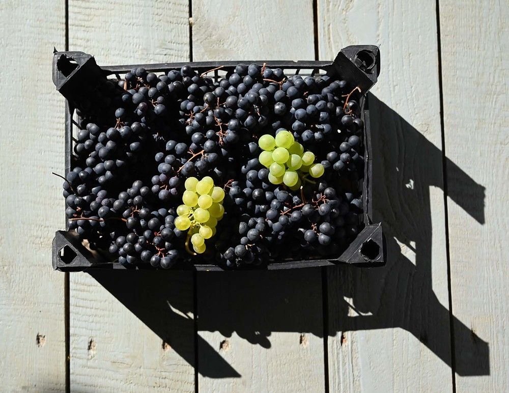 Photograph by Ксения