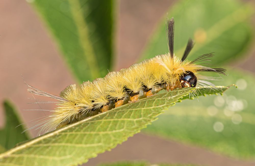 Photograph by Борис Новиков