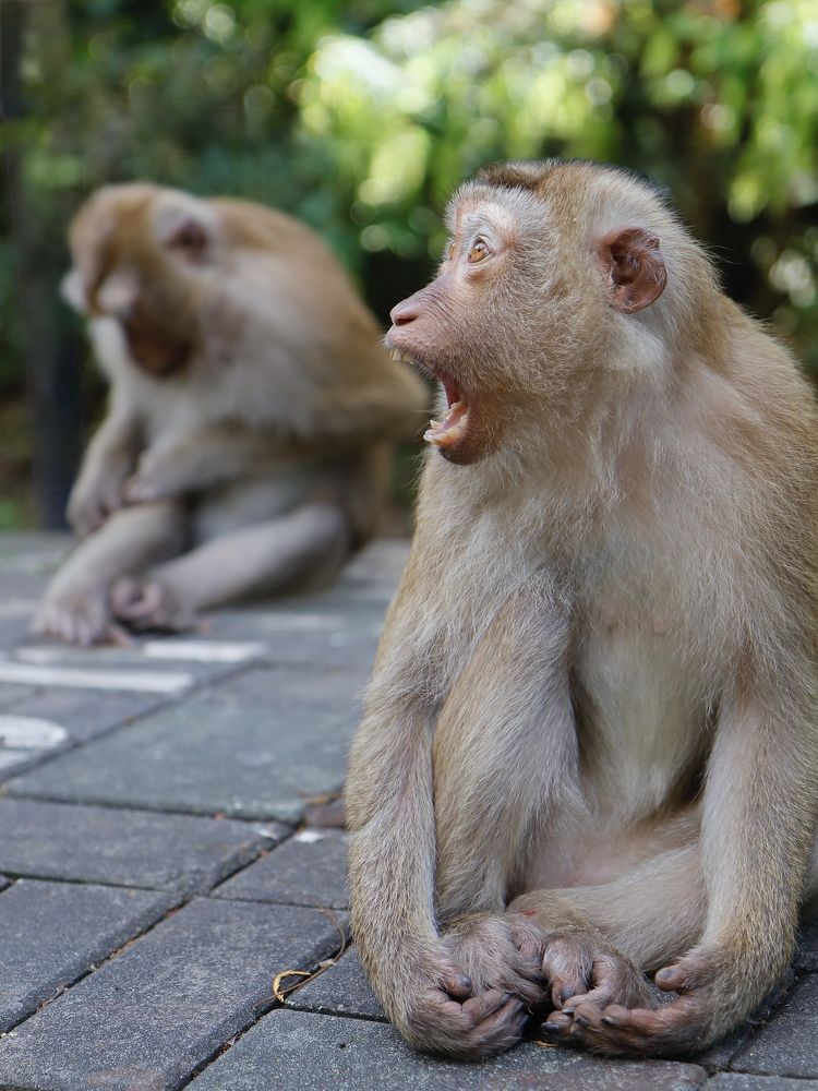 Photograph by Екатерина Слепнева