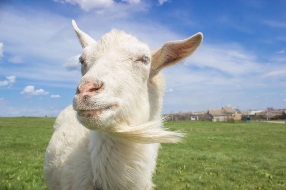 Photograph by Дина Горбачёва