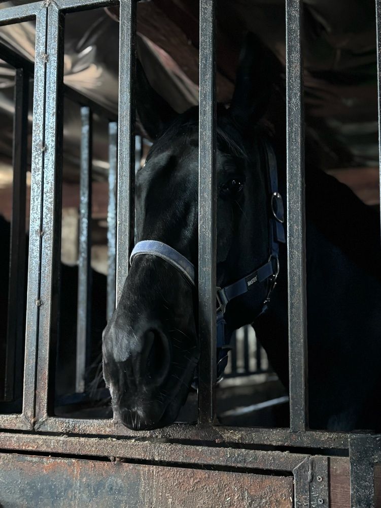 Photograph by Halina Mitsevich