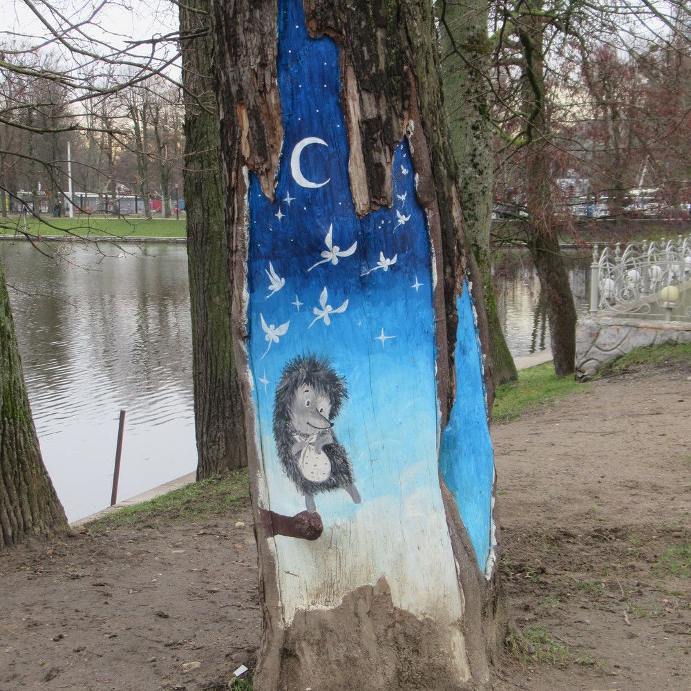 Photograph by Ирина Шведчикова