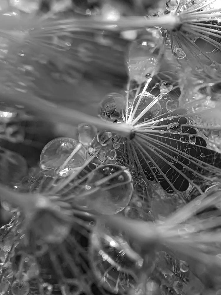 Фотография автора Наталья Алексеева