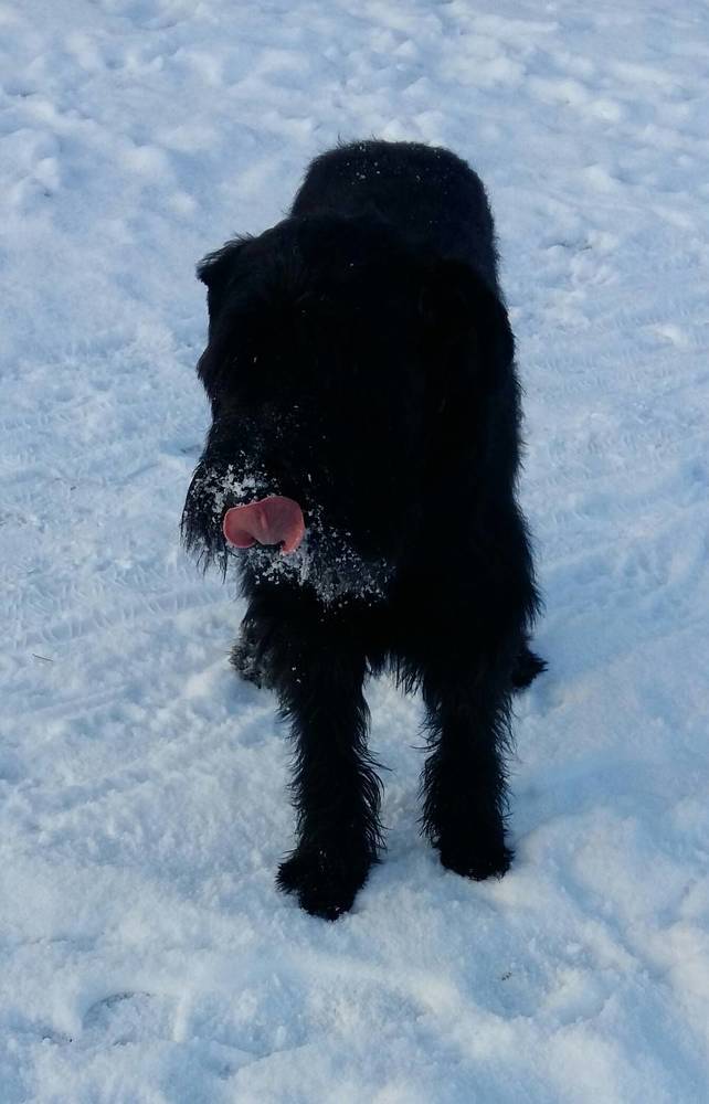 Photograph by Ксения Цветкова