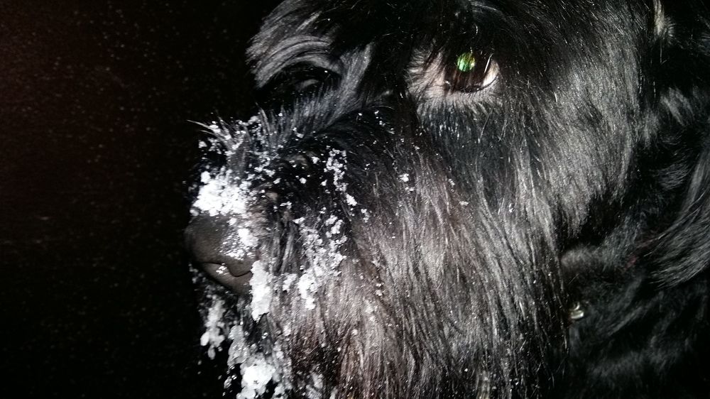 Photograph by Ксения Цветкова