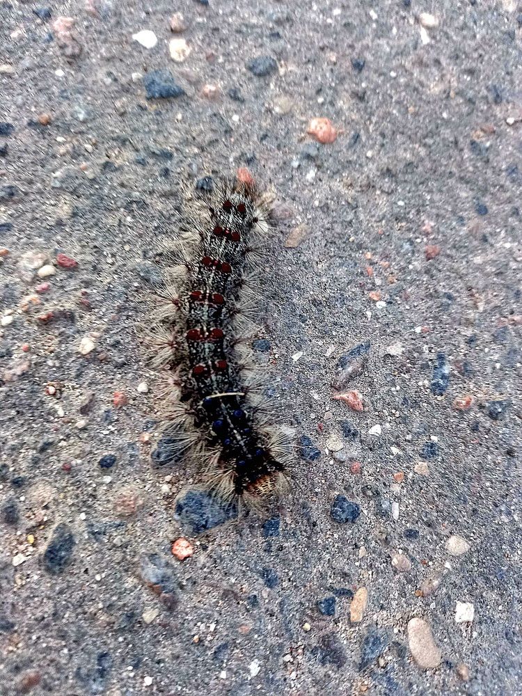 Photograph by Елена Воронова