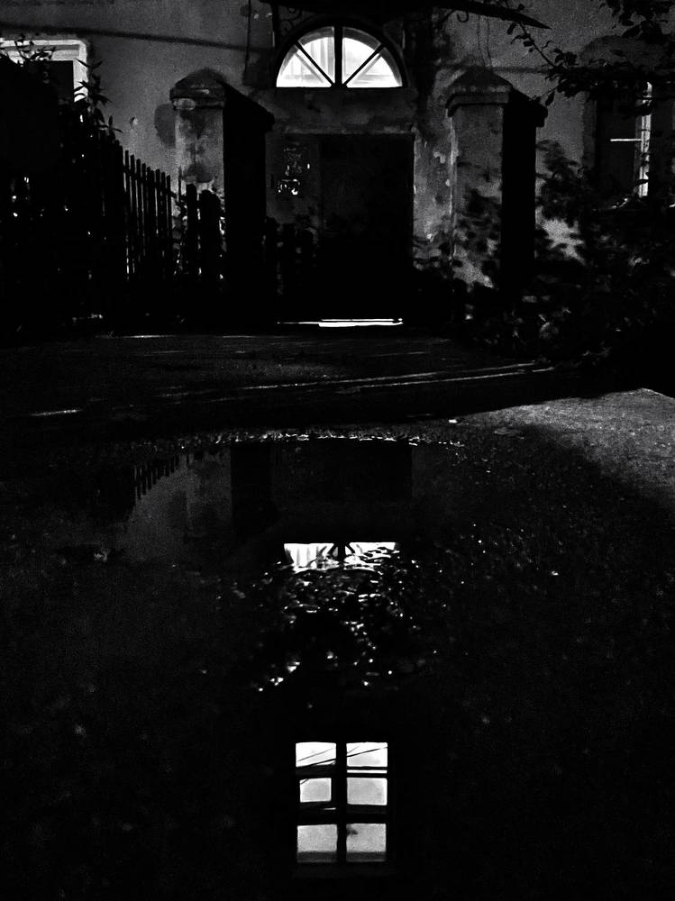 Photograph by Светлана Родионова