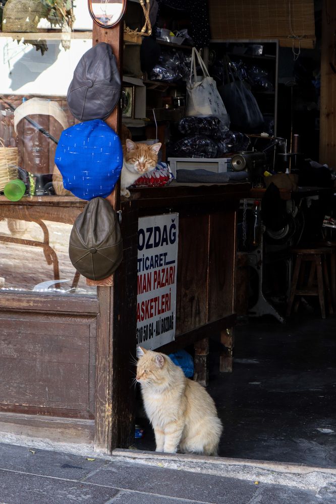 Photograph by Evgenia Korchagova