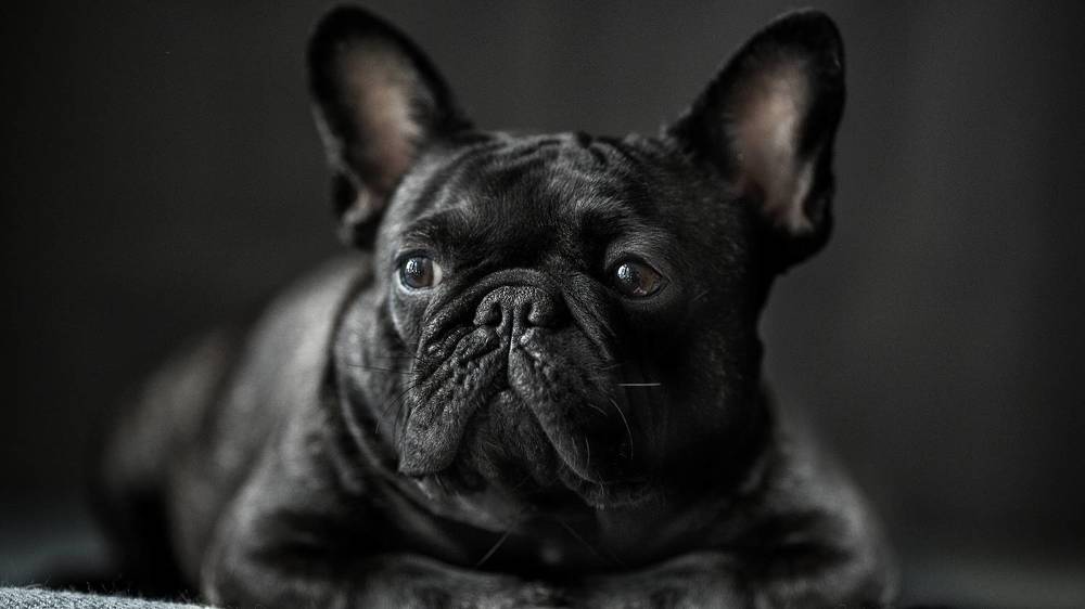 Photograph by Ольга Софронова