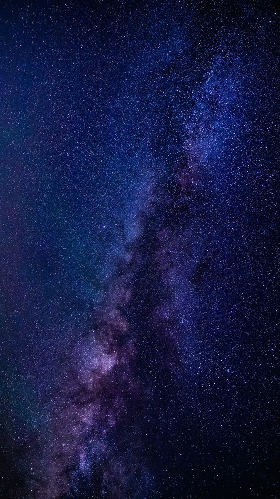 Photograph by Мария Раздорова