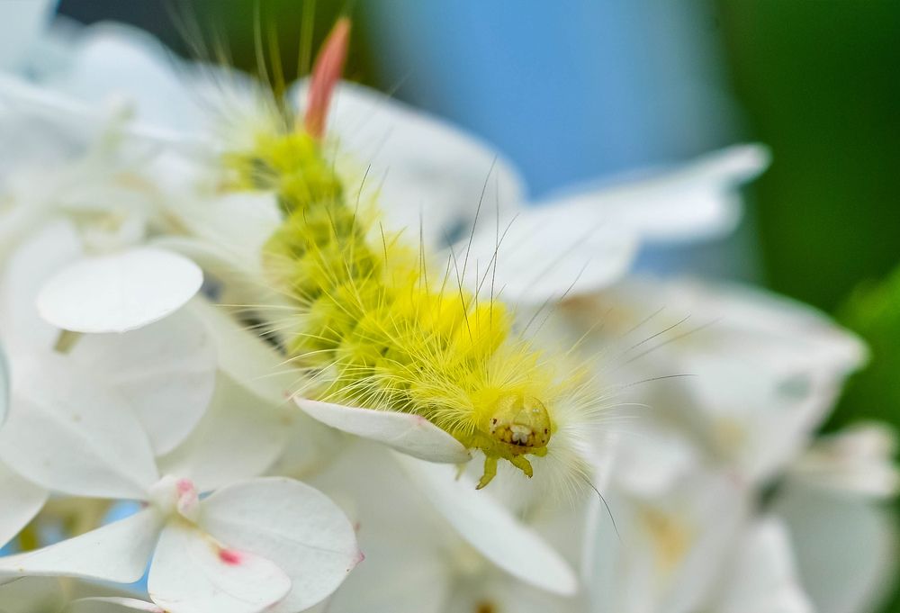 Photograph by Олеся zme