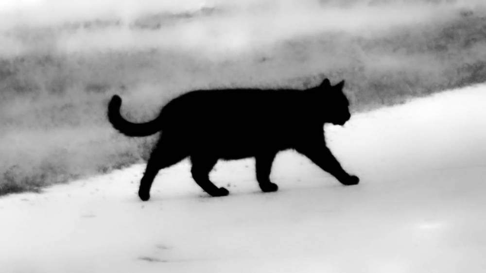 Photograph by Dmitry Kuzmich