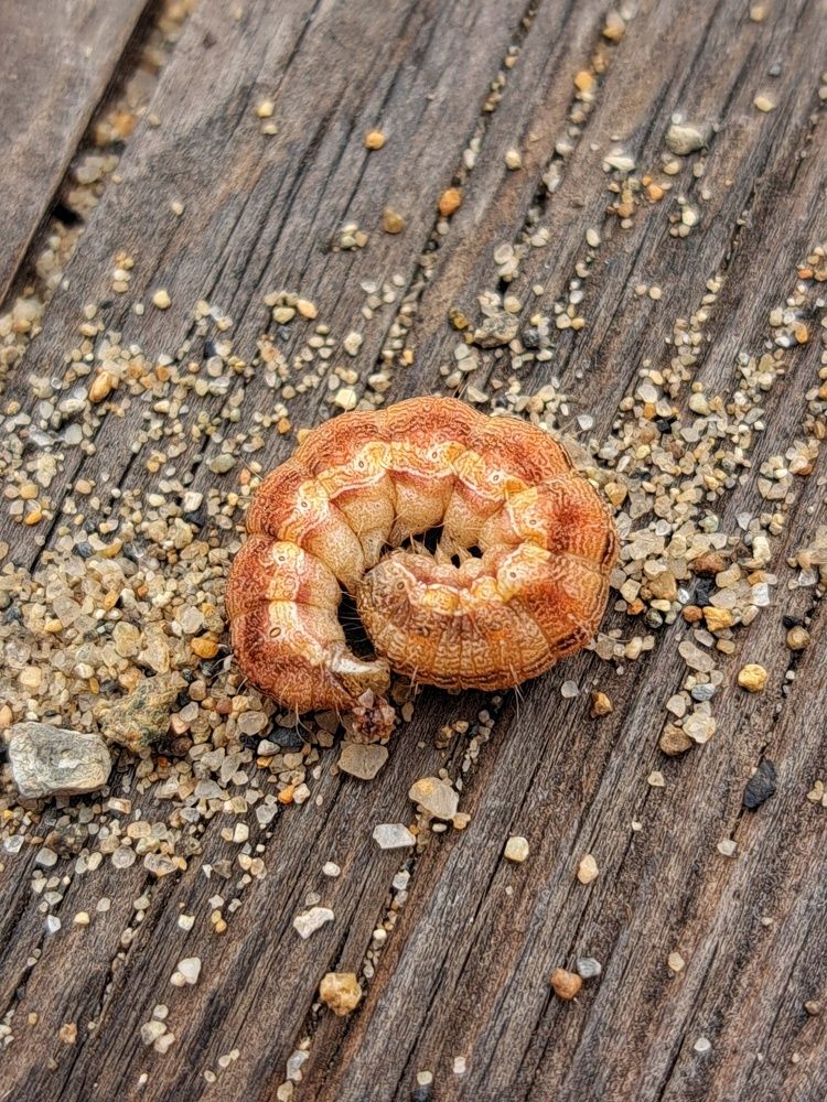 Photograph by Оксана Юдина