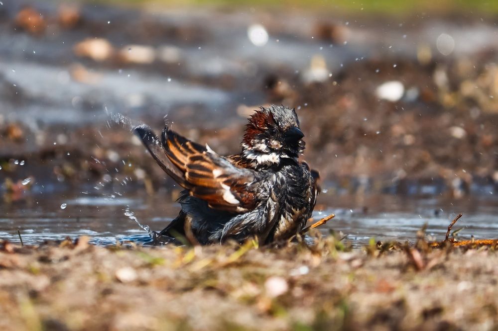 Photograph by Хельга Кольцова