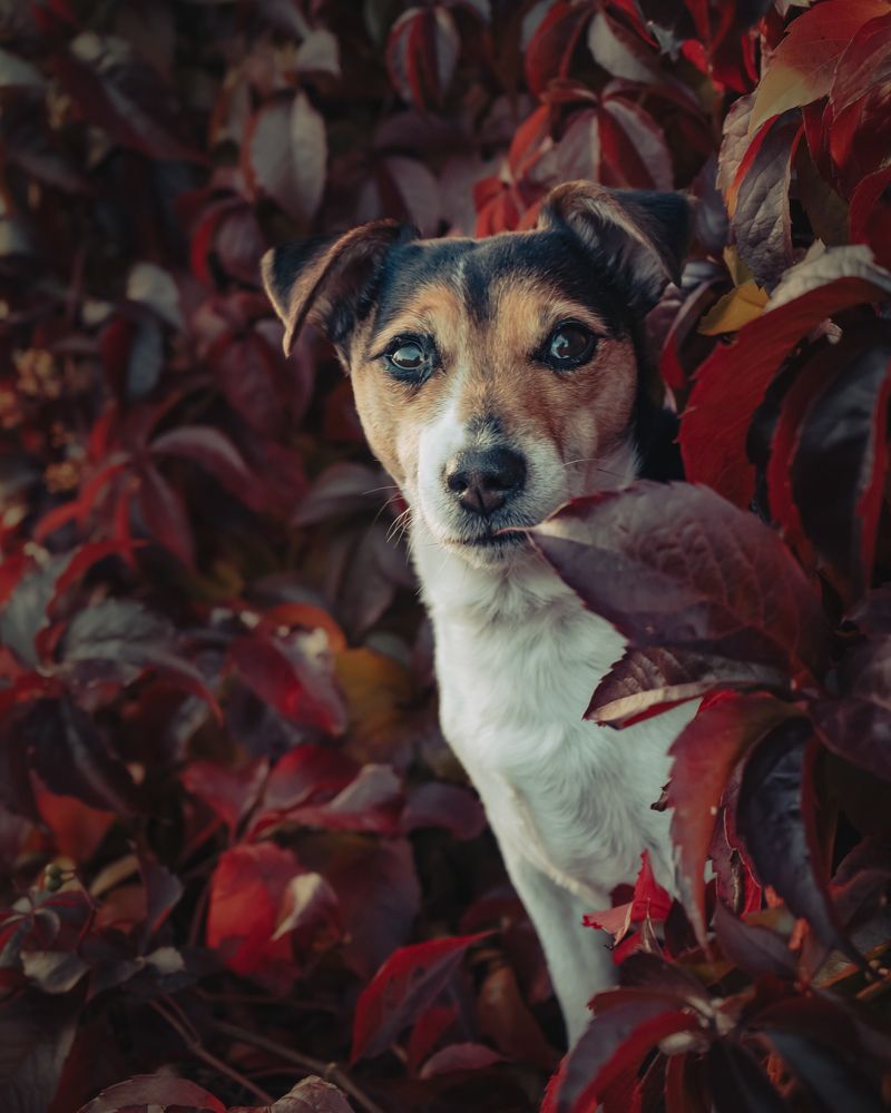 Photograph by Aga Kucinska