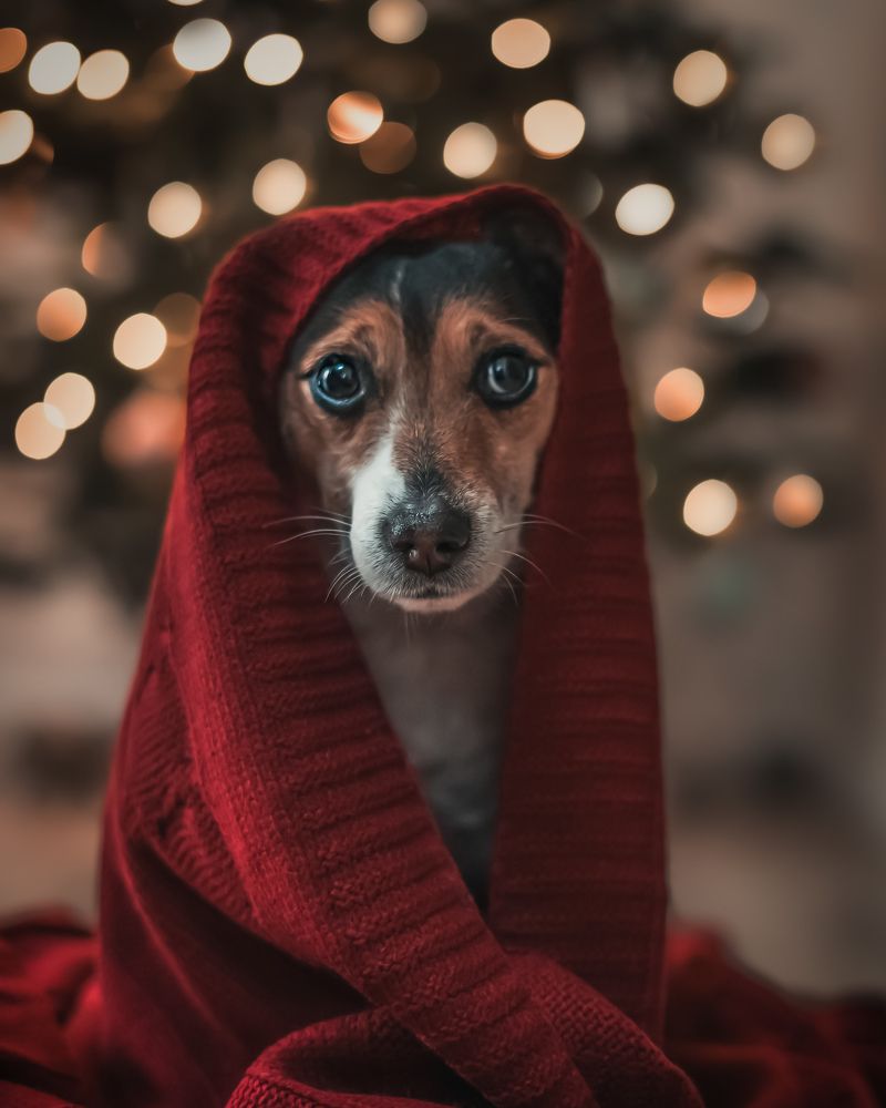 Photograph by Aga Kucinska