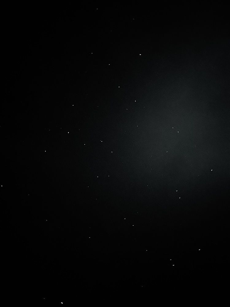 Photograph by Екатерина Валиуллина