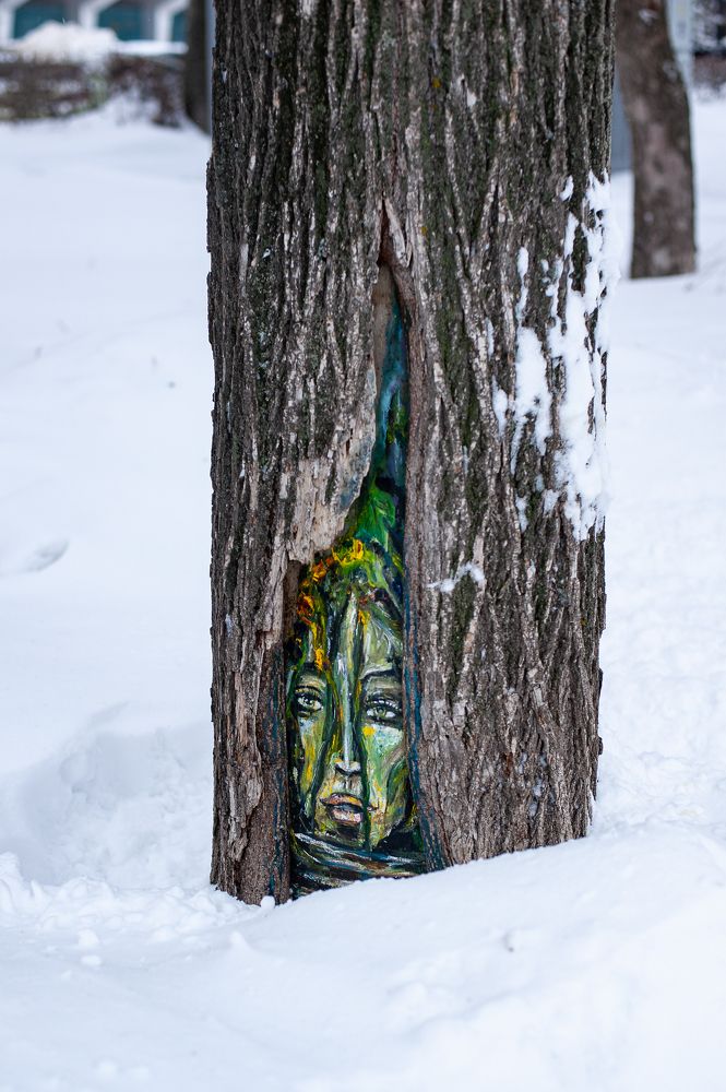 Фотография автора Елена Ефименко