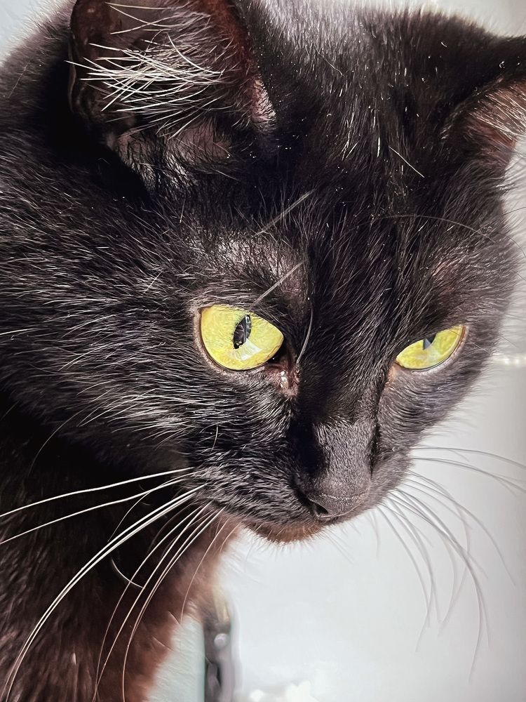 Photograph by Екатерина Валиуллина