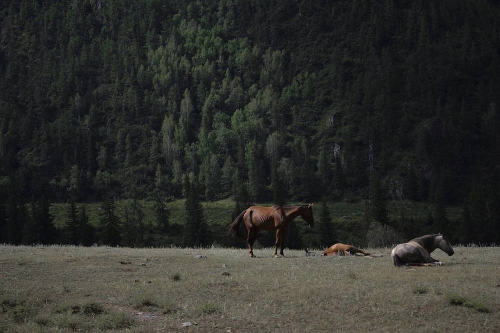 Photograph by Юлия Горбунова