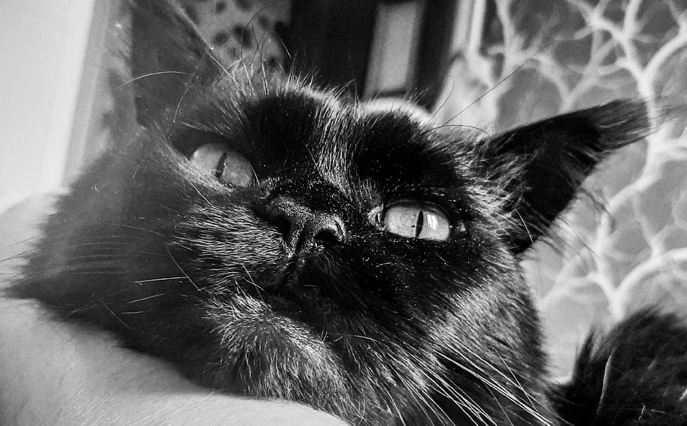 Фотография автора Valerya Vasileva