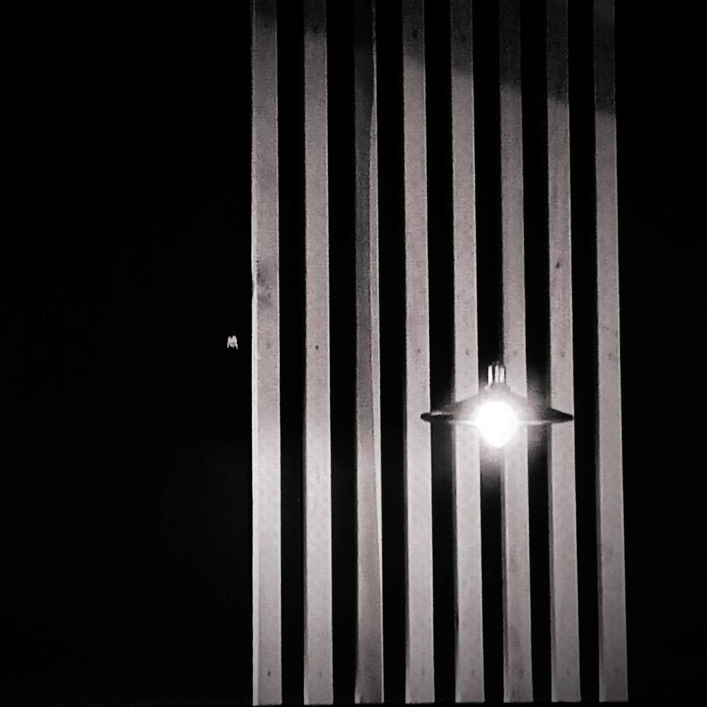 Свет во тьме