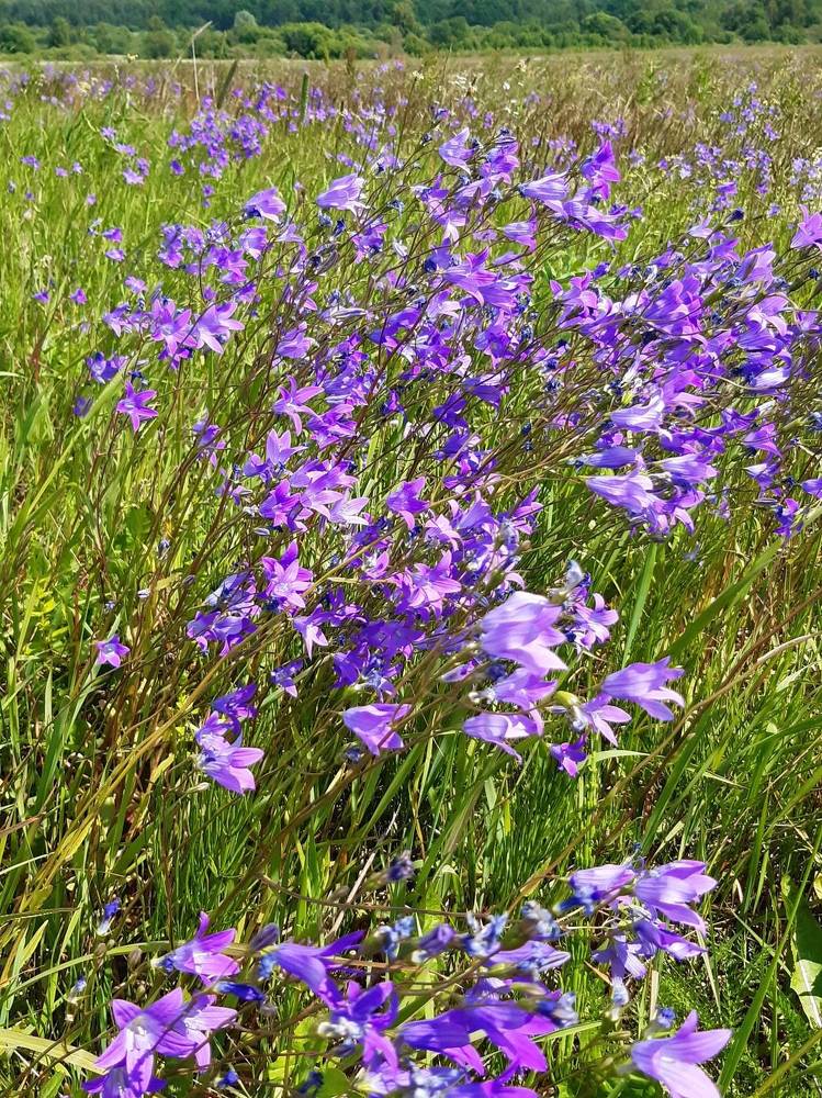 Photograph by Екатерина