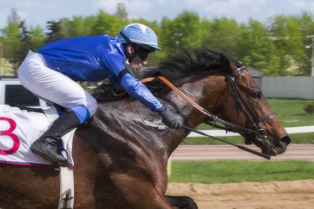 Photograph by Анатолий