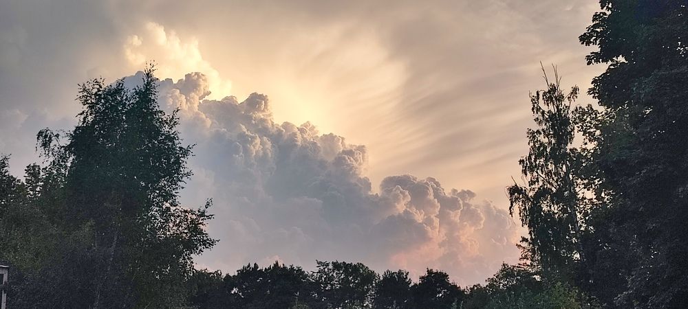 Фотография автора Шарова Наталия