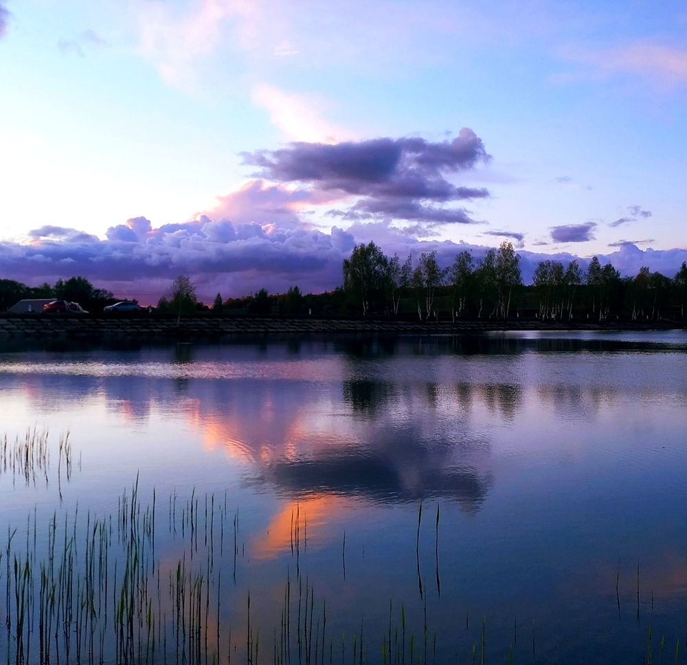 Фотография автора Шарова Наталия