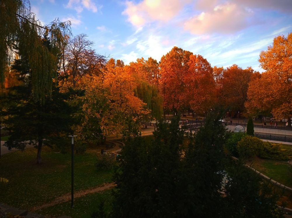 Один осенний день