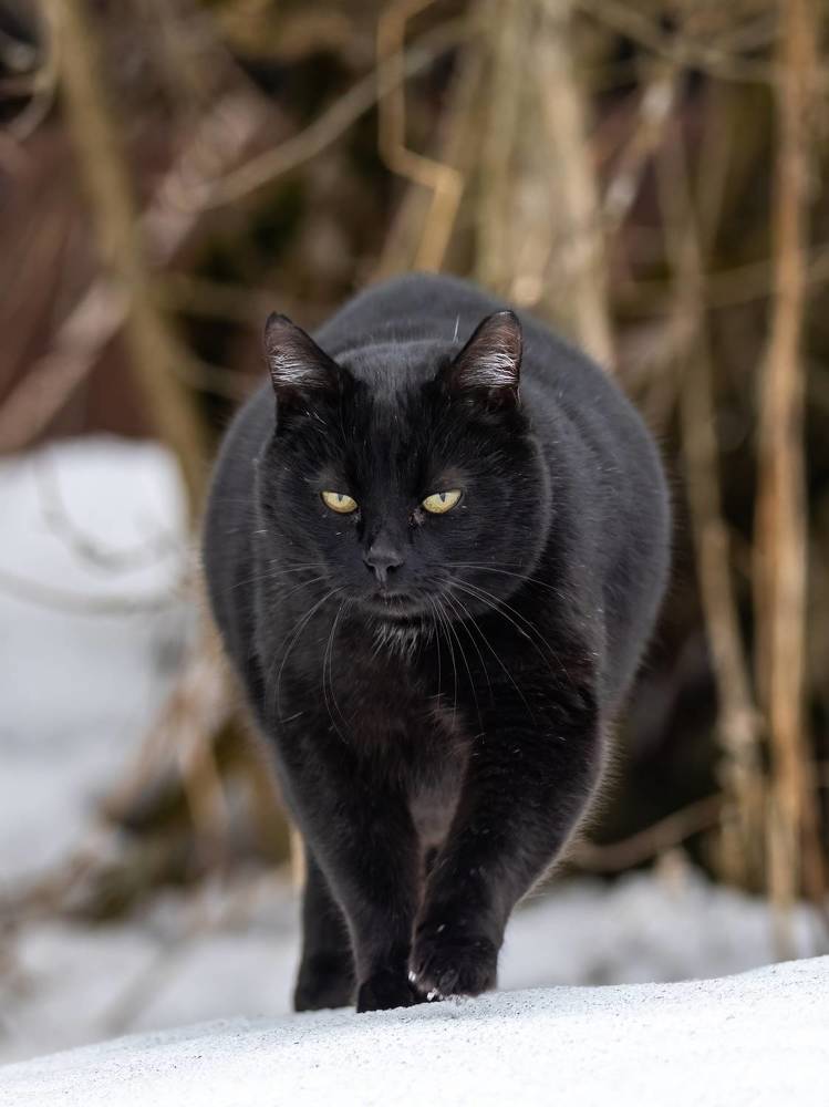 Photograph by Хабаров Сергей