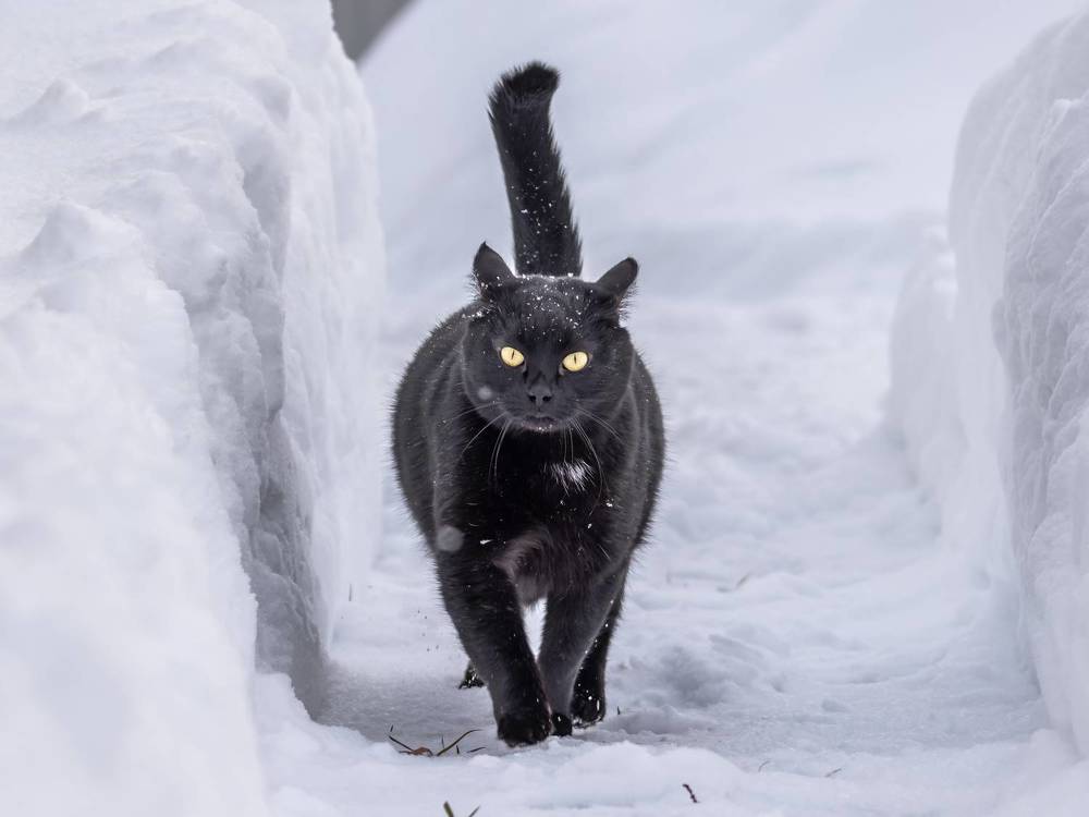 Photograph by Хабаров Сергей