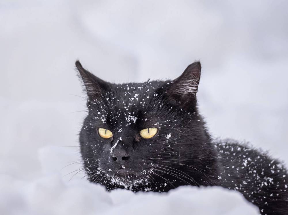 Photograph by Хабаров Сергей