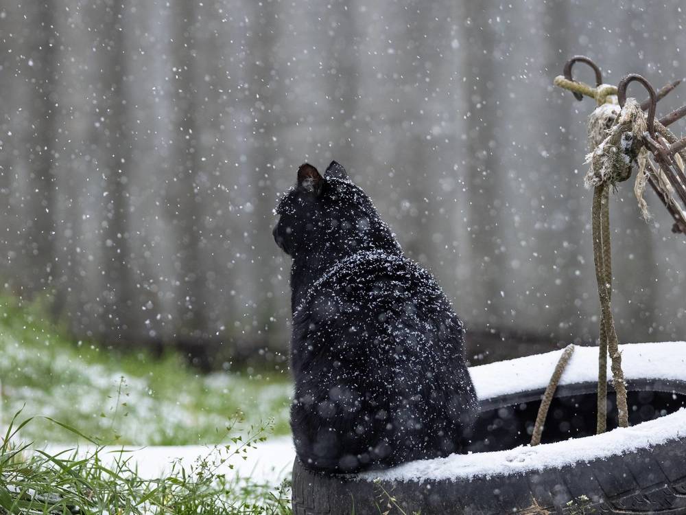 Photograph by Хабаров Сергей