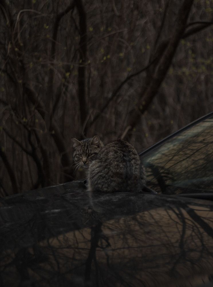 Photograph by Dmitry Butusov