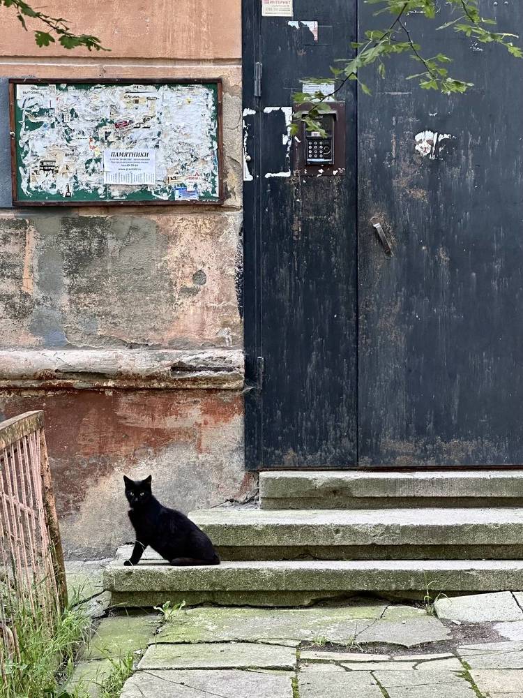 Photograph by Екатерина Балакина