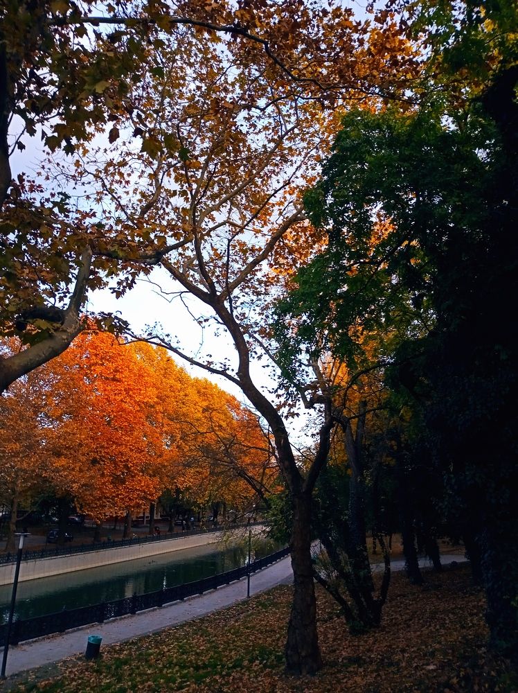 Photograph by Роман Маханов