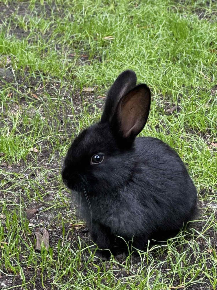 Photograph by Наталья Иванова