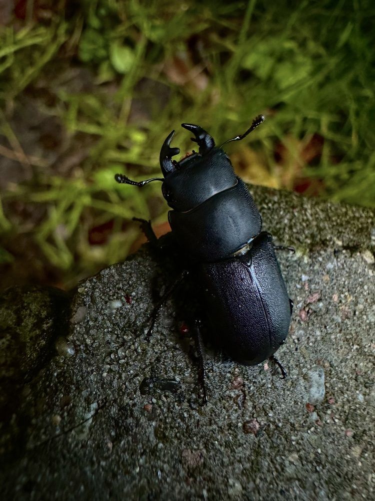 Photograph by Екатерина Балакина